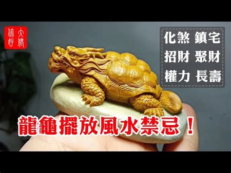 龍首龜身|揭祕龍龜奇異造型：龍頭龜身，吉祥瑞獸的祕密 